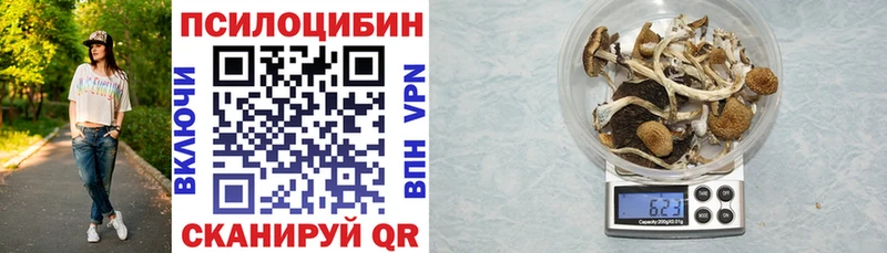 Псилоцибиновые грибы Psilocybe  KRAKEN вход  Красково 